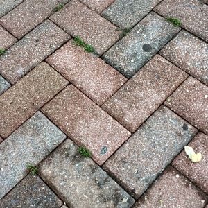 Meet your Posher, Austin